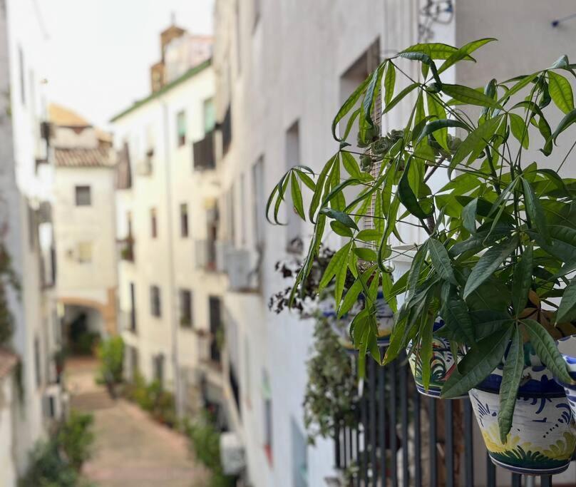 Apartamento Kenza 科爾多瓦 外观 照片