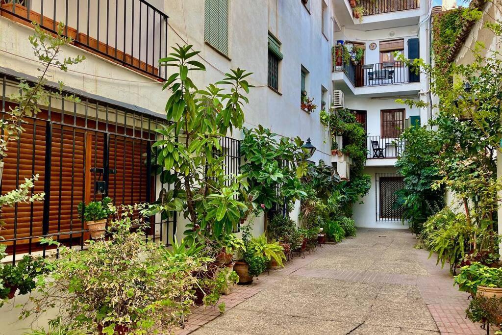 Apartamento Kenza 科爾多瓦 外观 照片