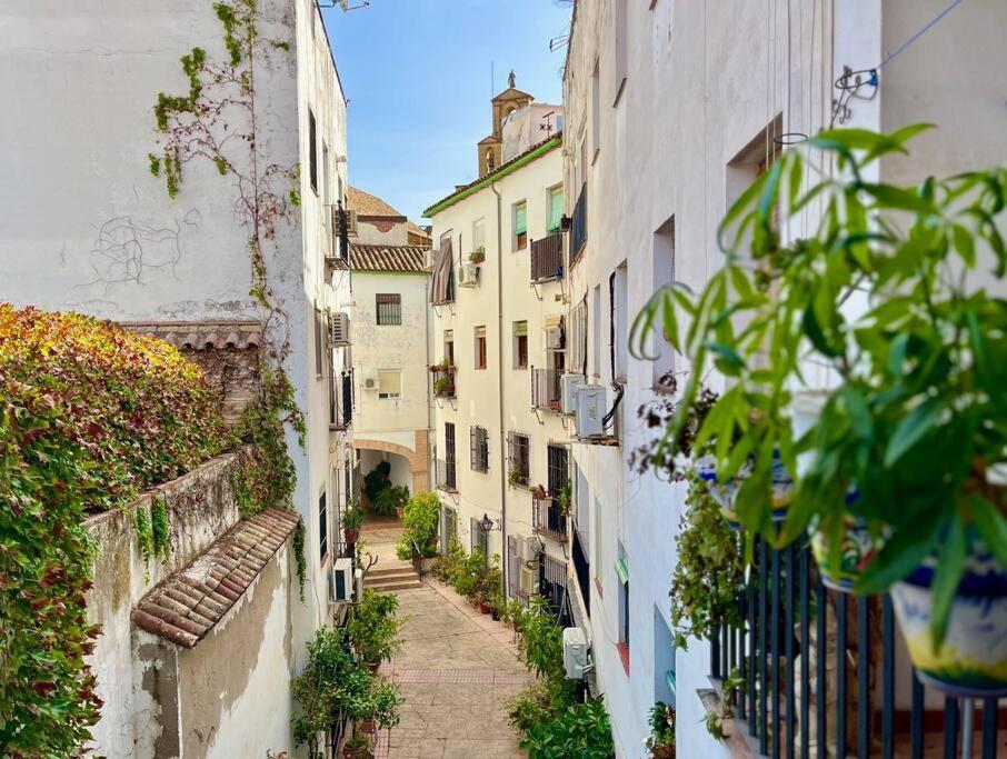 Apartamento Kenza 科爾多瓦 外观 照片
