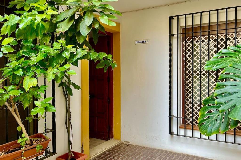 Apartamento Kenza 科爾多瓦 外观 照片