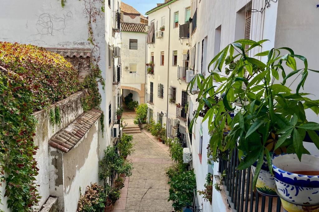 Apartamento Kenza 科爾多瓦 外观 照片